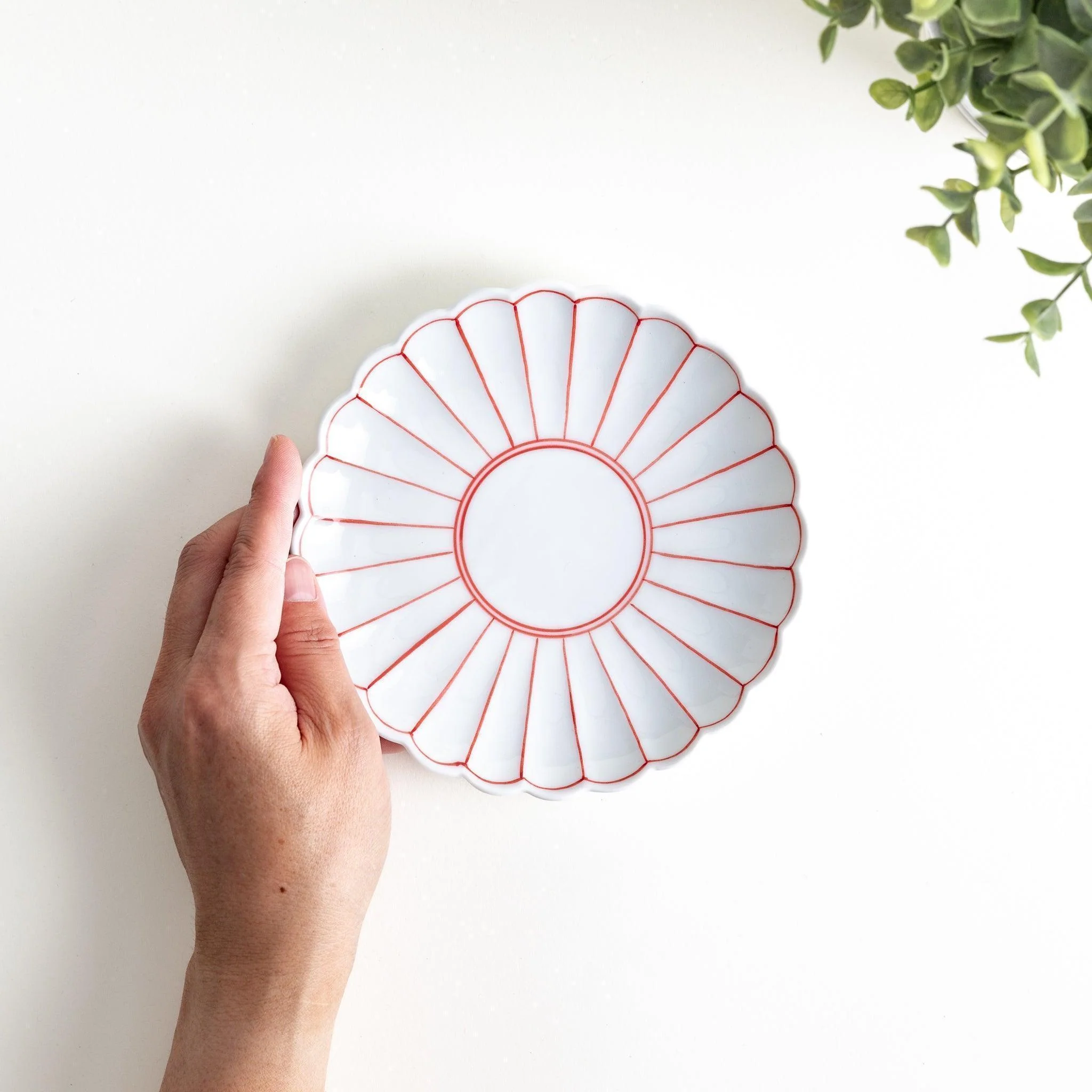 Chrysanthemum Lined Salad Plate - Image 9
