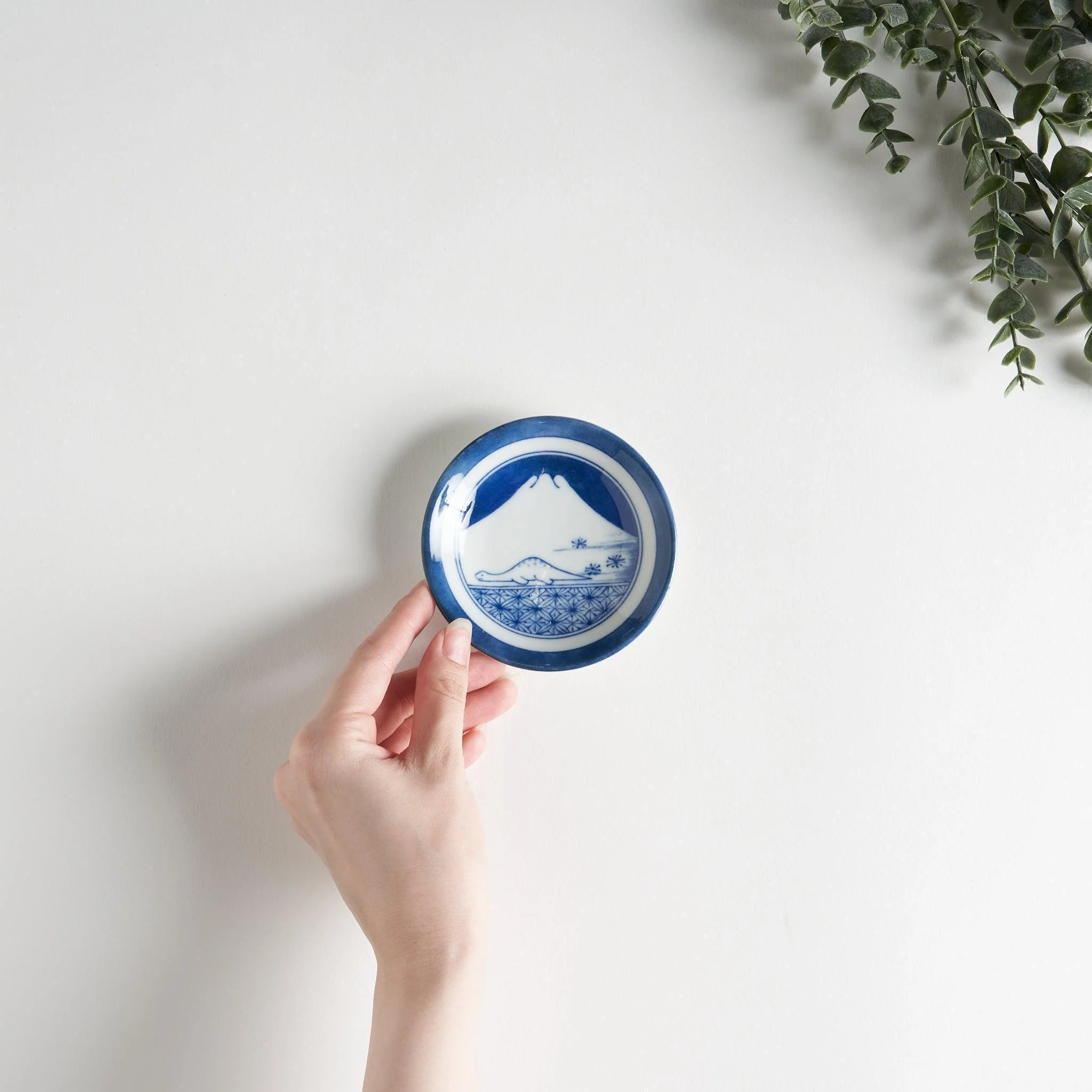 Dinosaur Sauce Dish Set - Image 21