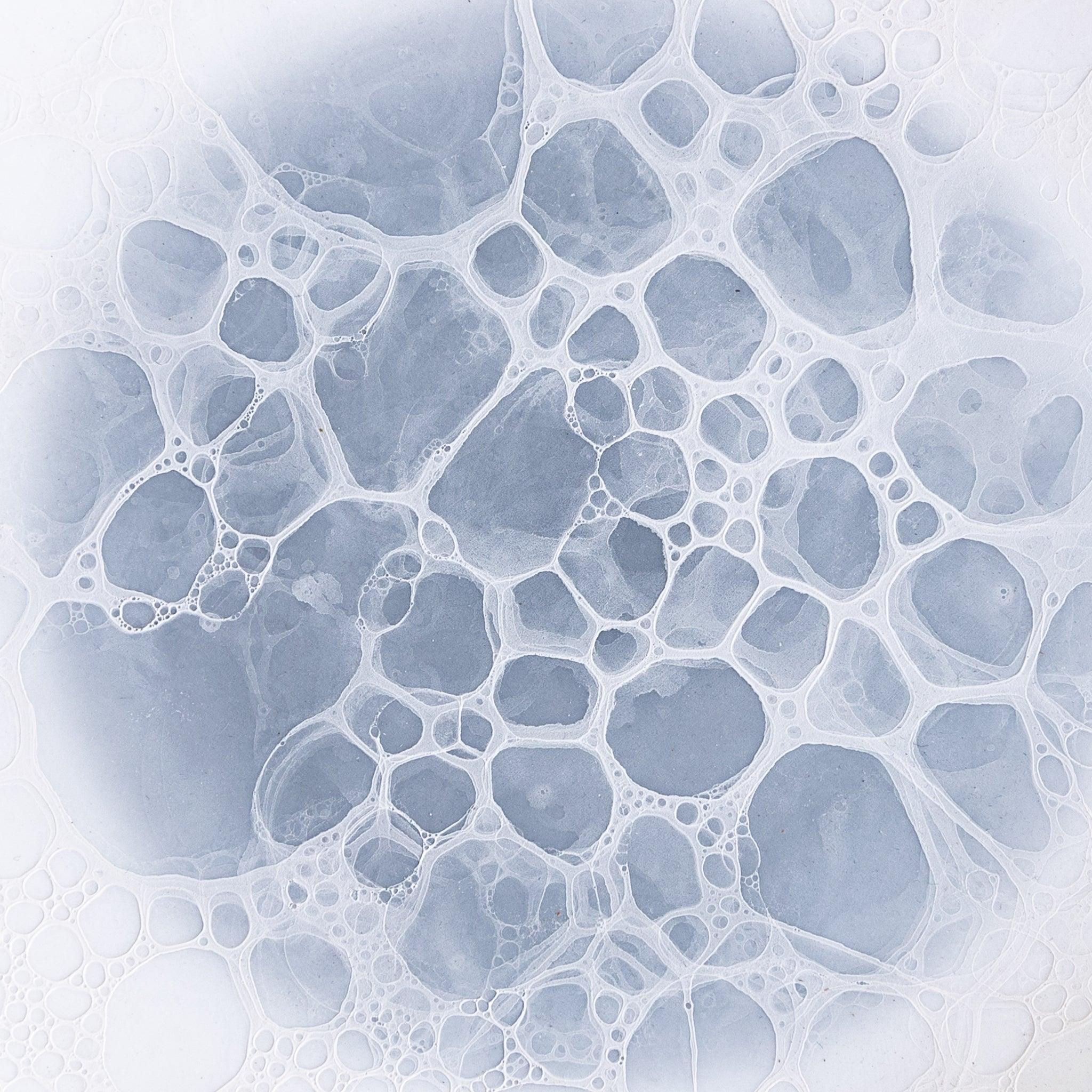 Bubble Salad Plate - Image 13