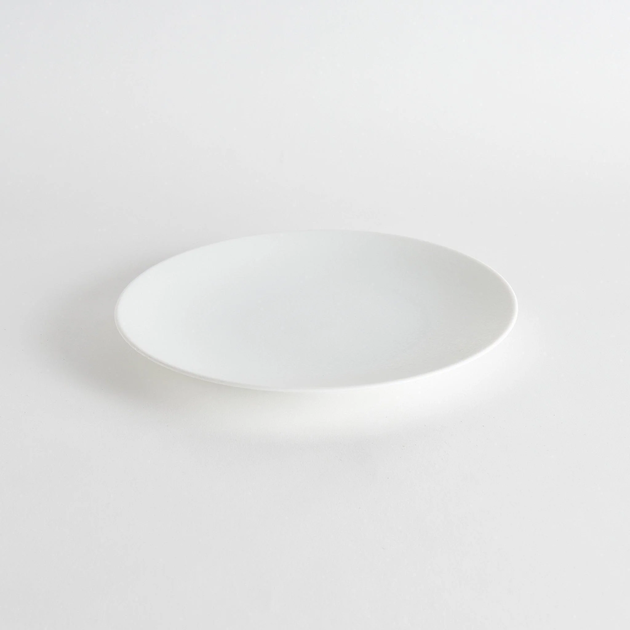 Snow Dinner Plate - Image 3