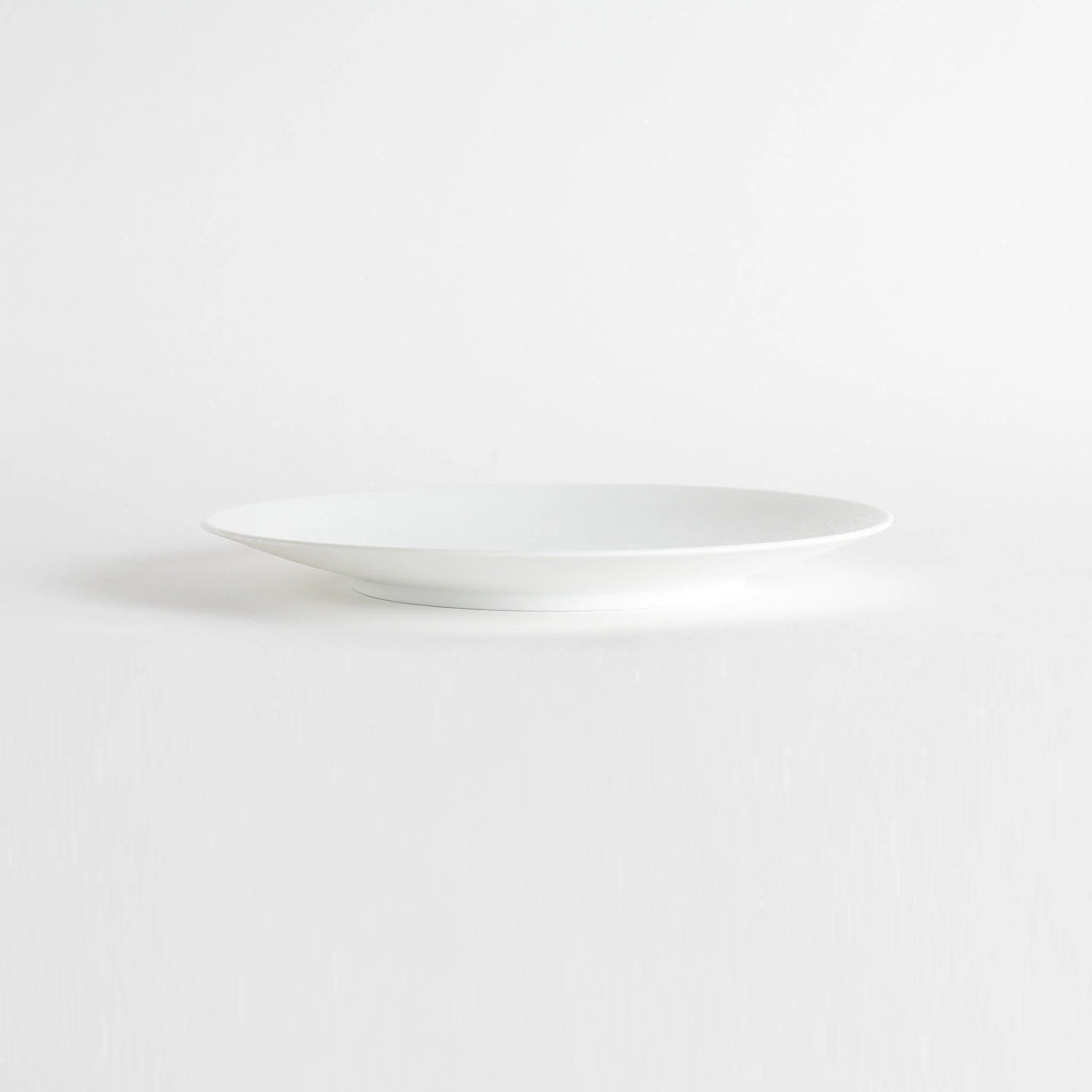 Snow Dinner Plate - Image 4